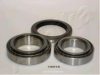 ASHIKA 44-12014 Wheel Bearing Kit